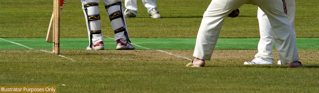 Artificial Cricket Wickets