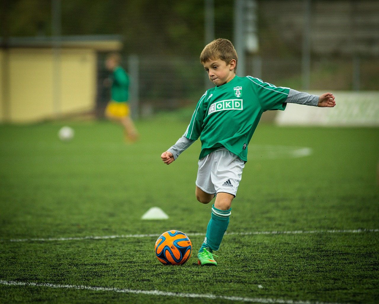 Benefits of Football Ball Stop Netting