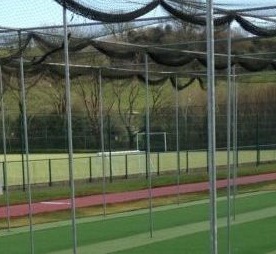 How a Cricket Training Net Improves Play & Safety